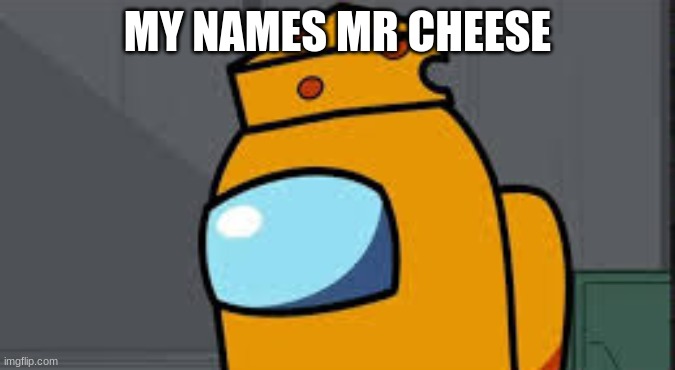 For Mr-Cheese-official 2 | MY NAMES MR CHEESE | image tagged in my name mr cheese | made w/ Imgflip meme maker