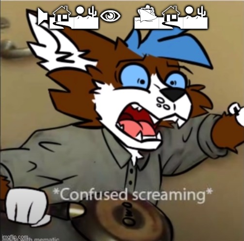 Confused furry screaming | WHEN THE | image tagged in confused furry screaming | made w/ Imgflip meme maker