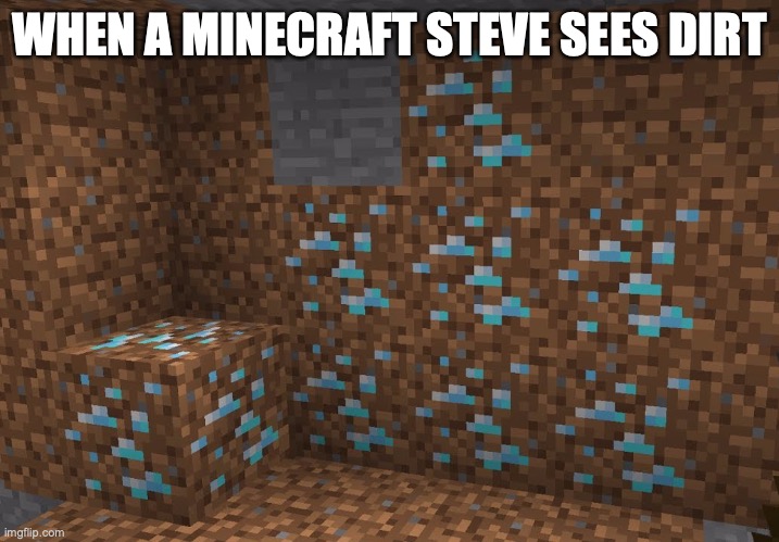 Minecraft Steve | WHEN A MINECRAFT STEVE SEES DIRT | image tagged in minecraft,noob | made w/ Imgflip meme maker