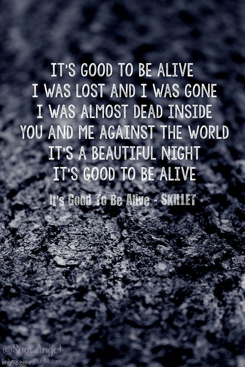 I'm falling in love with song lyrics again Imgflip