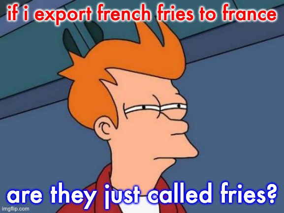 Futurama Fry Meme | if i export french fries to france are they just called fries? | image tagged in memes,futurama fry | made w/ Imgflip meme maker