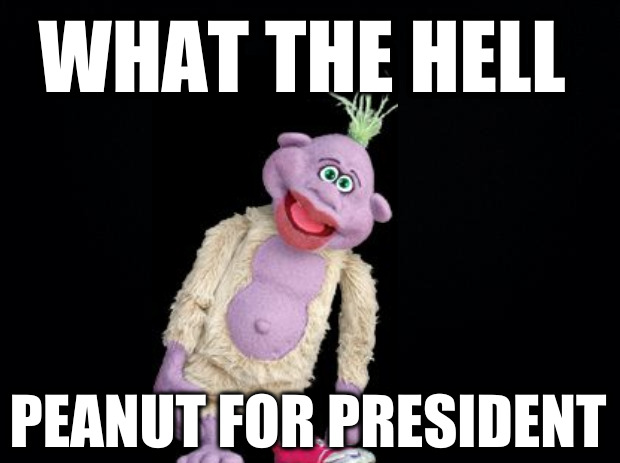 Peanut For President! | WHAT THE HELL; PEANUT FOR PRESIDENT | image tagged in black background | made w/ Imgflip meme maker