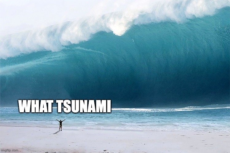 What tsunami | WHAT TSUNAMI | image tagged in lol,idiot,nature | made w/ Imgflip meme maker