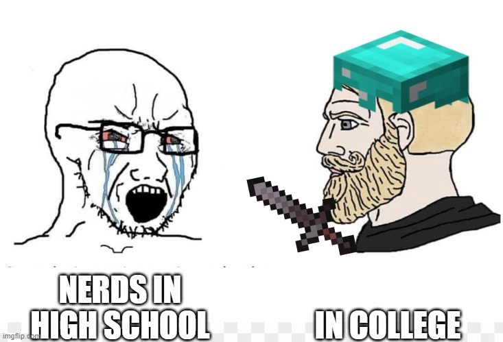 Nerds highschool vs college | IN COLLEGE; NERDS IN HIGH SCHOOL | image tagged in minecraft,school meme,funny | made w/ Imgflip meme maker