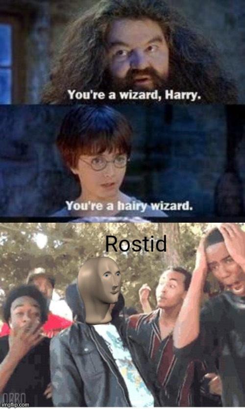 imagine getting roasted by harry potter | image tagged in meme man rostid | made w/ Imgflip meme maker
