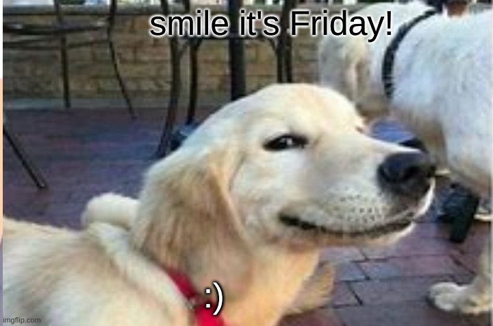 dogo | smile it's Friday! :) | image tagged in fun | made w/ Imgflip meme maker