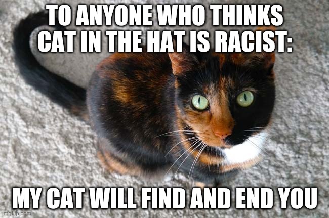 TO ANYONE WHO THINKS CAT IN THE HAT IS RACIST:; MY CAT WILL FIND AND END YOU | image tagged in cats | made w/ Imgflip meme maker