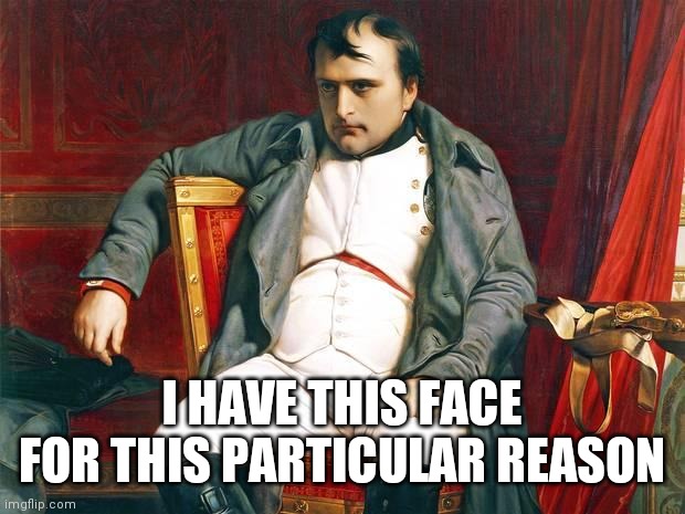 Bored Napoleon | I HAVE THIS FACE FOR THIS PARTICULAR REASON | image tagged in bored napoleon | made w/ Imgflip meme maker