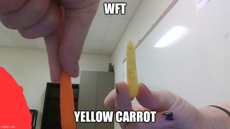 WFT; YELLOW CARROT | made w/ Imgflip meme maker