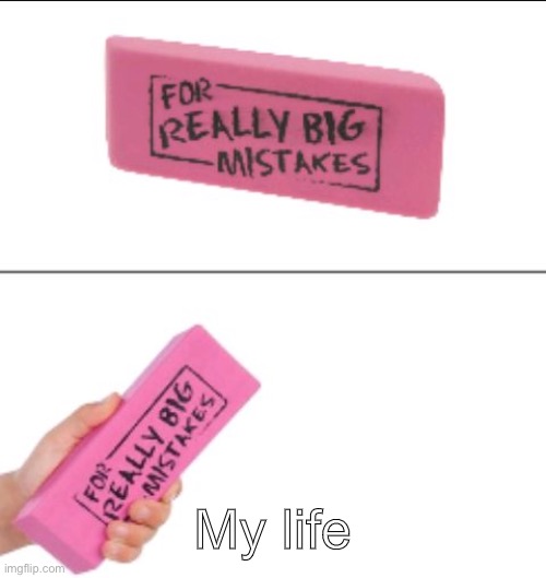 For Big Mistakes | My life | image tagged in for big mistakes | made w/ Imgflip meme maker