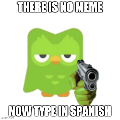 Duolingo | THERE IS NO MEME; NOW TYPE IN SPANISH | image tagged in duolingo | made w/ Imgflip meme maker