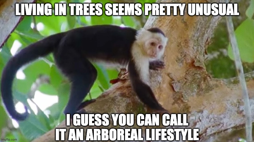 Anthropology Pun | LIVING IN TREES SEEMS PRETTY UNUSUAL; I GUESS YOU CAN CALL IT AN ARBOREAL LIFESTYLE | image tagged in science | made w/ Imgflip meme maker