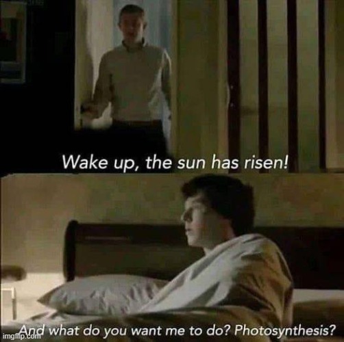 Yeah why you have to wake me up? | made w/ Imgflip meme maker