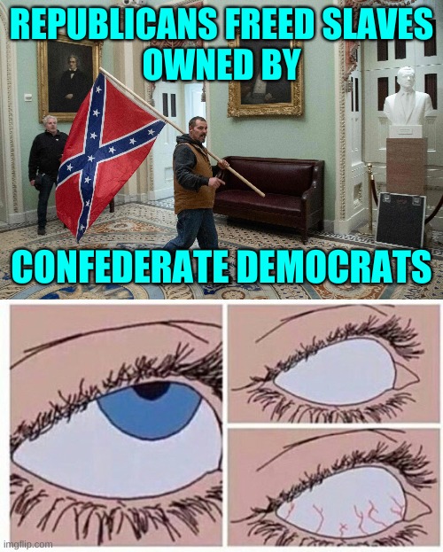 REPUBLICANS FREED SLAVES
OWNED BY; CONFEDERATE DEMOCRATS | image tagged in capitol break in confederate flag,eye roll,qanon,capitol hill,rebel flag,conservative hypocrisy | made w/ Imgflip meme maker