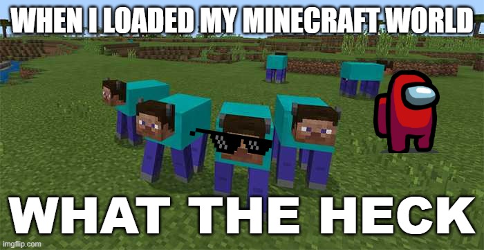me and the boys | WHEN I LOADED MY MINECRAFT WORLD; WHAT THE HECK | image tagged in me and the boys | made w/ Imgflip meme maker