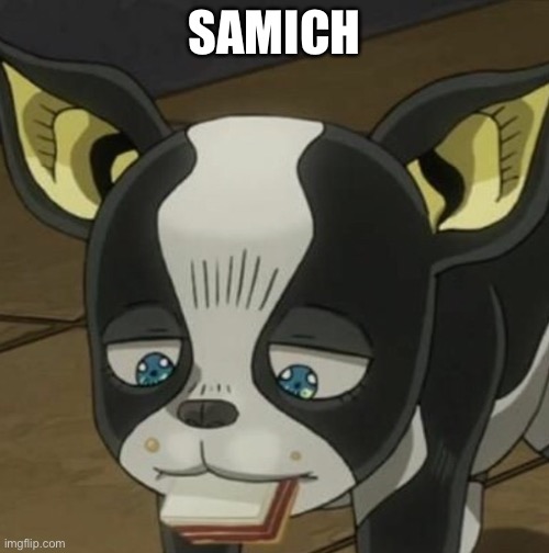 Samich | SAMICH | image tagged in samich | made w/ Imgflip meme maker