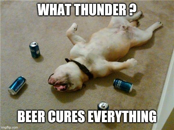Beer Cures Everything |  WHAT THUNDER ? BEER CURES EVERYTHING | image tagged in drunk dog,guinness,funny,dogs,thunder,funny memes | made w/ Imgflip meme maker