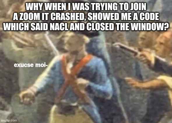 excuse moi- | WHY WHEN I WAS TRYING TO JOIN A ZOOM IT CRASHED, SHOWED ME A CODE WHICH SAID NACL AND CLOSED THE WINDOW? | image tagged in excuse moi- | made w/ Imgflip meme maker