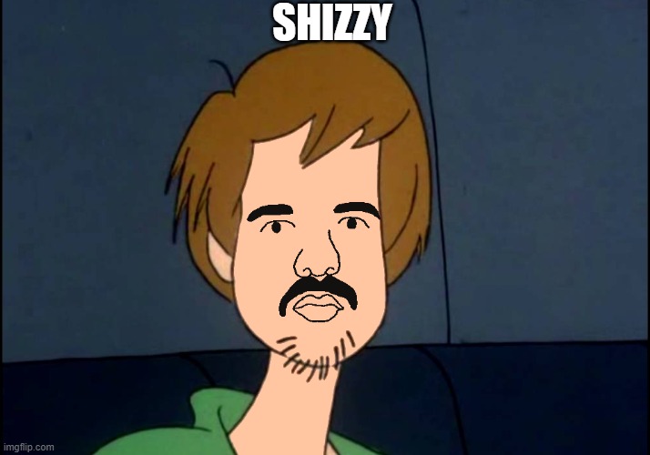 Drizzy + Shaggy = Shizzy | SHIZZY | image tagged in drake,shaggy,scooby doo,photoshop,barney will eat all of your delectable biscuits | made w/ Imgflip meme maker
