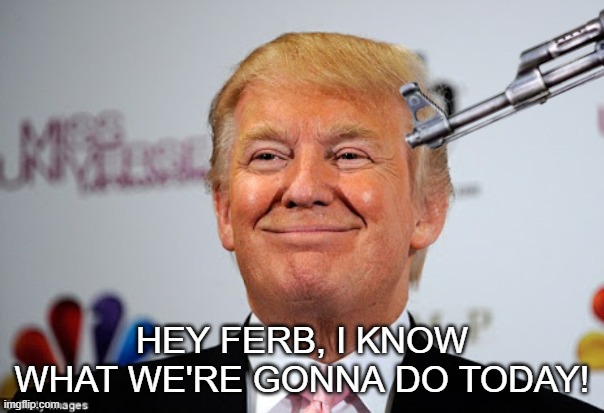 HEY FERB, I KNOW WHAT WE'RE GONNA DO TODAY! | image tagged in donald trump | made w/ Imgflip meme maker