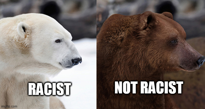 bears | NOT RACIST; RACIST | image tagged in bears | made w/ Imgflip meme maker