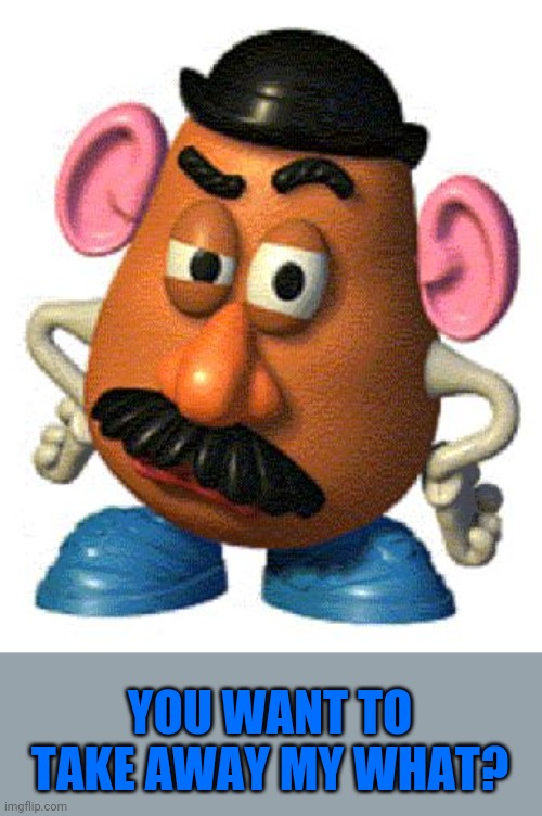Mr Potato Head | YOU WANT TO TAKE AWAY MY WHAT? | image tagged in mr potato head,memes,gender equality,insanity,inclusion,gender confusion | made w/ Imgflip meme maker