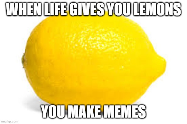 #subscribe to memenade | WHEN LIFE GIVES YOU LEMONS; YOU MAKE MEMES | image tagged in when life gives you lemons x | made w/ Imgflip meme maker