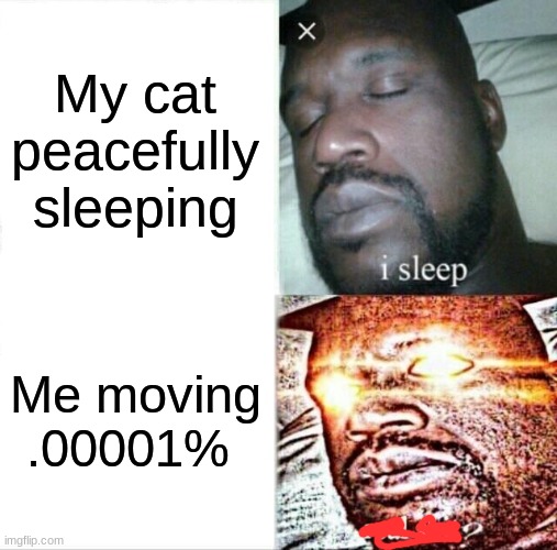 Sleeping Shaq Meme | My cat peacefully sleeping; Me moving .00001% | image tagged in memes,sleeping shaq,cats | made w/ Imgflip meme maker