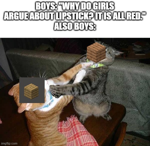 ngl oak plank is the best | BOYS: "WHY DO GIRLS ARGUE ABOUT LIPSTICK? IT IS ALL RED."
ALSO BOYS: | image tagged in two cats fighting for real | made w/ Imgflip meme maker