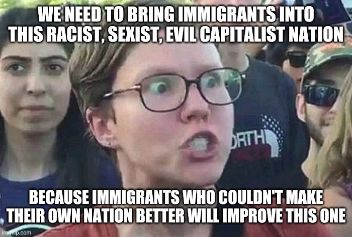 Triggered Liberal | WE NEED TO BRING IMMIGRANTS INTO THIS RACIST, SEXIST, EVIL CAPITALIST NATION; BECAUSE IMMIGRANTS WHO COULDN'T MAKE THEIR OWN NATION BETTER WILL IMPROVE THIS ONE | image tagged in triggered liberal | made w/ Imgflip meme maker