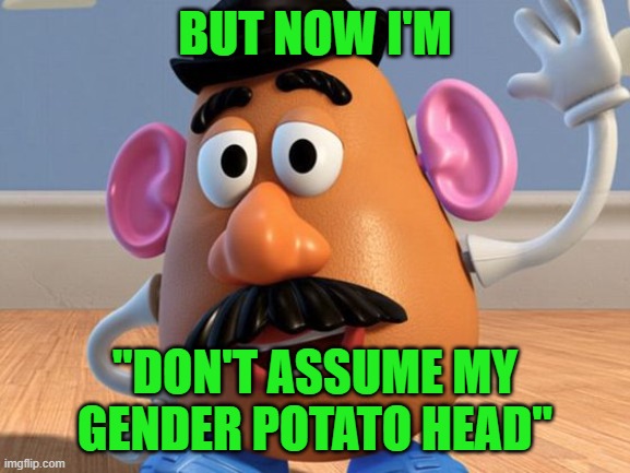 Mr Potato Head | BUT NOW I'M "DON'T ASSUME MY GENDER POTATO HEAD" | image tagged in mr potato head | made w/ Imgflip meme maker