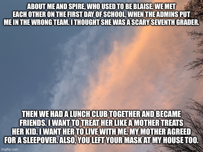 More about it. | ABOUT ME AND SPIRE, WHO USED TO BE BLAISE. WE MET EACH OTHER ON THE FIRST DAY OF SCHOOL, WHEN THE ADMINS PUT ME IN THE WRONG TEAM. I THOUGHT SHE WAS A SCARY SEVENTH GRADER. THEN WE HAD A LUNCH CLUB TOGETHER AND BECAME FRIENDS. I WANT TO TREAT HER LIKE A MOTHER TREATS HER KID. I WANT HER TO LIVE WITH ME. MY MOTHER AGREED FOR A SLEEPOVER. ALSO, YOU LEFT YOUR MASK AT MY HOUSE TOO. | made w/ Imgflip meme maker