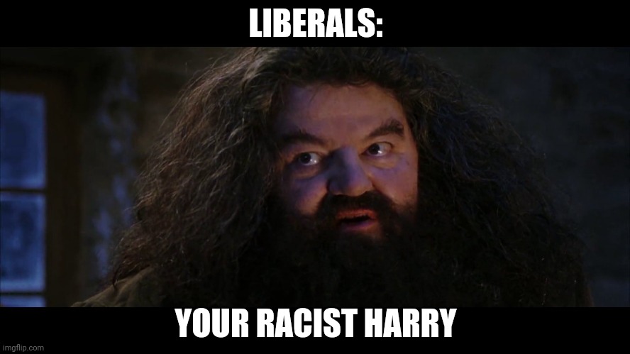 LIBERALS:; YOUR RACIST HARRY | image tagged in hagrid | made w/ Imgflip meme maker