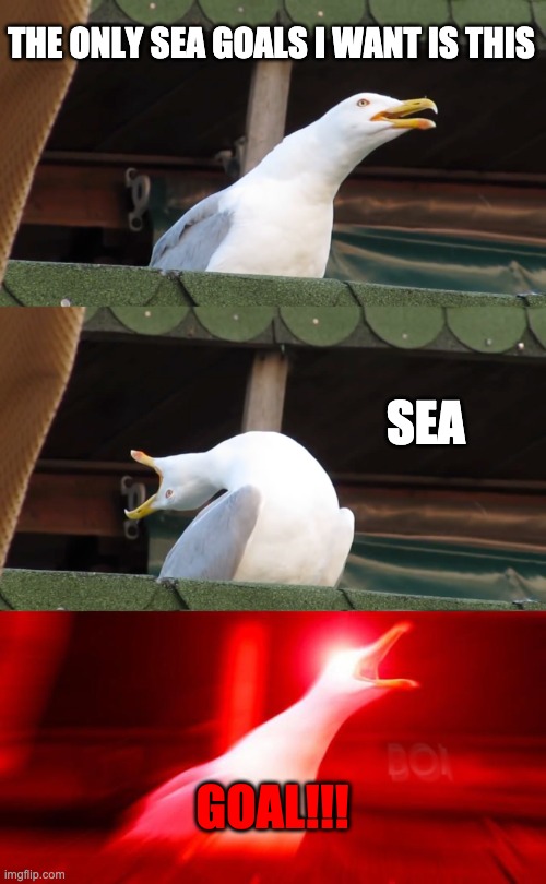 Inhaling seagull | THE ONLY SEA GOALS I WANT IS THIS SEA GOAL!!! | image tagged in inhaling seagull | made w/ Imgflip meme maker