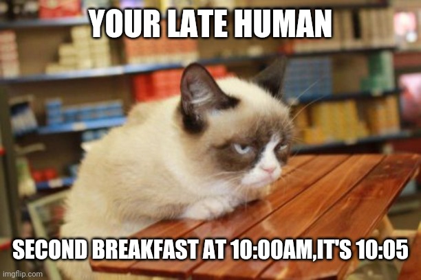 Grumpy Cat Table Meme | YOUR LATE HUMAN; SECOND BREAKFAST AT 10:00AM,IT'S 10:05 | image tagged in memes,grumpy cat table,grumpy cat | made w/ Imgflip meme maker