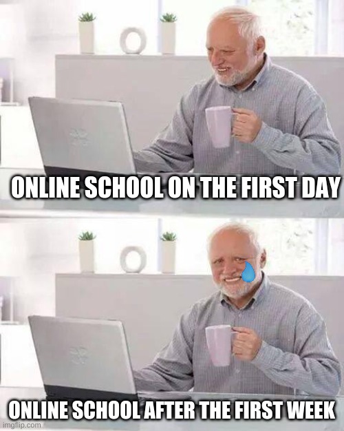 online work be like: | ONLINE SCHOOL ON THE FIRST DAY; ONLINE SCHOOL AFTER THE FIRST WEEK | image tagged in memes,hide the pain harold | made w/ Imgflip meme maker