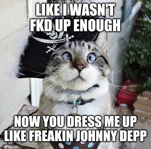 Spangles Meme | LIKE I WASN'T FKD UP ENOUGH; NOW YOU DRESS ME UP LIKE FREAKIN JOHNNY DEPP | image tagged in memes,spangles | made w/ Imgflip meme maker