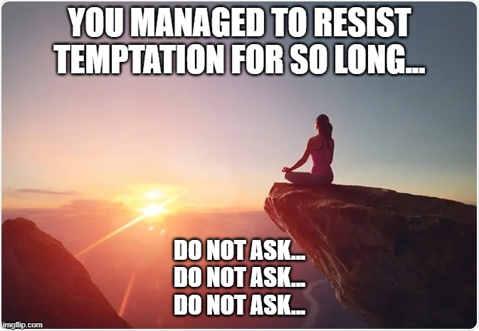 YOU MANAGED TO RESIST TEMPTATION FOR SO LONG... DO NOT ASK...
DO NOT ASK...
DO NOT ASK... | made w/ Imgflip meme maker