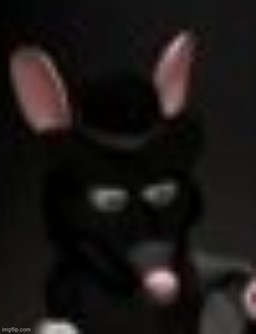 cursed rat | image tagged in cursed rat | made w/ Imgflip meme maker