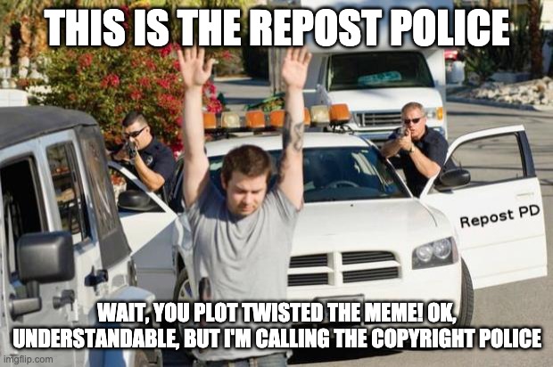 Repost Police | THIS IS THE REPOST POLICE WAIT, YOU PLOT TWISTED THE MEME! OK, UNDERSTANDABLE, BUT I'M CALLING THE COPYRIGHT POLICE | image tagged in repost police | made w/ Imgflip meme maker