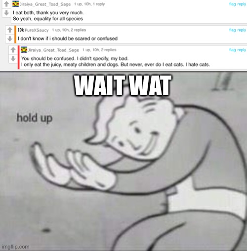 Y | WAIT WAT | image tagged in fallout hold up | made w/ Imgflip meme maker