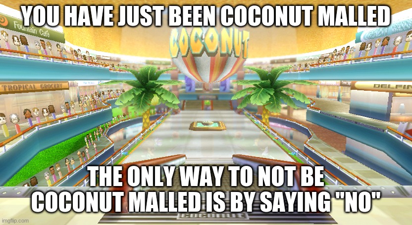 Coconut Mall | YOU HAVE JUST BEEN COCONUT MALLED; THE ONLY WAY TO NOT BE COCONUT MALLED IS BY SAYING "NO" | image tagged in coconut mall | made w/ Imgflip meme maker