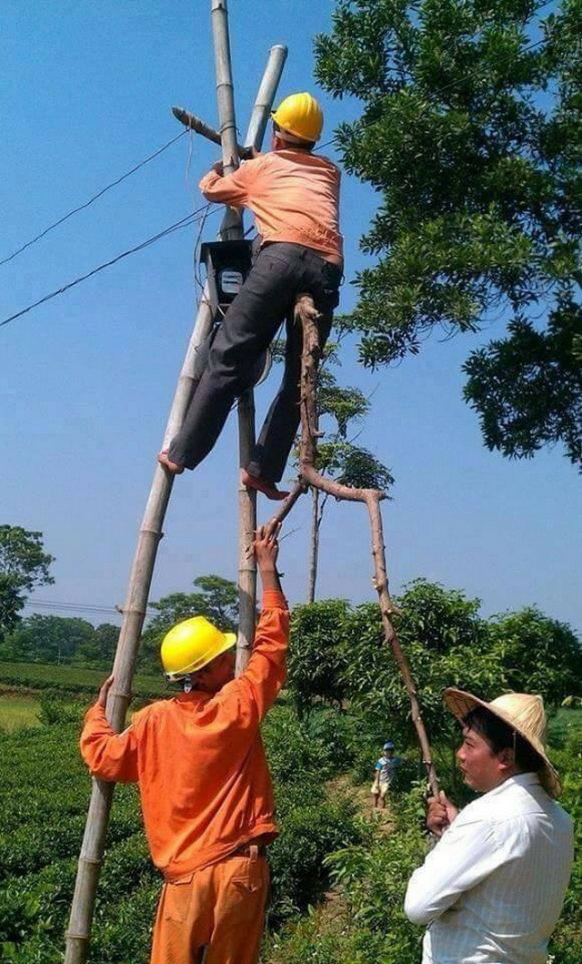 Workers helping with a branch Blank Meme Template
