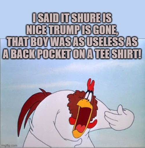 foghorn | I SAID IT SHURE IS NICE TRUMP IS GONE,
THAT BOY WAS AS USELESS AS A BACK POCKET ON A TEE SHIRT! | image tagged in foghorn | made w/ Imgflip meme maker