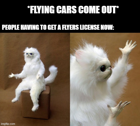 Flyers License | *FLYING CARS COME OUT*; PEOPLE HAVING TO GET A FLYERS LICENSE NOW: | image tagged in memes,persian cat room guardian | made w/ Imgflip meme maker