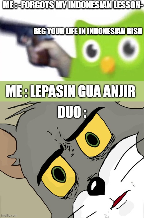 YES | ME : -FORGOTS MY INDONESIAN LESSON-; BEG YOUR LIFE IN INDONESIAN BISH; ME : LEPASIN GUA ANJIR; DUO : | image tagged in duolingo gun,memes,unsettled tom,indonesia | made w/ Imgflip meme maker