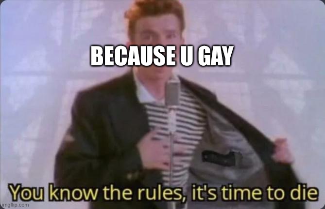 You know the rules, it's time to die | BECAUSE U GAY | image tagged in you know the rules it's time to die | made w/ Imgflip meme maker