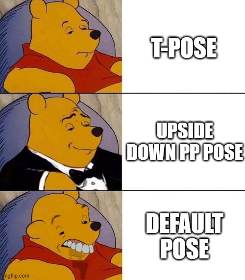 T-Pose | T-POSE; UPSIDE DOWN PP POSE; DEFAULT POSE | image tagged in best better blurst | made w/ Imgflip meme maker