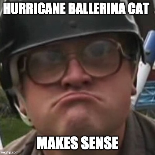 Makes Sense | HURRICANE BALLERINA CAT MAKES SENSE | image tagged in makes sense | made w/ Imgflip meme maker