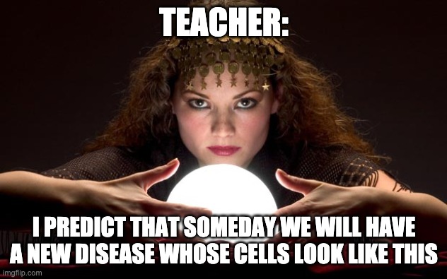 Psychic with Crystal Ball | TEACHER: I PREDICT THAT SOMEDAY WE WILL HAVE A NEW DISEASE WHOSE CELLS LOOK LIKE THIS | image tagged in psychic with crystal ball | made w/ Imgflip meme maker